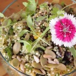 Gastronomia | Cuscuz de Quinoa
